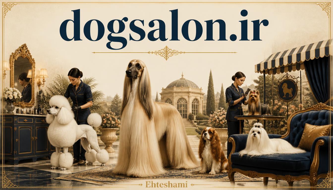 dogsalon.ir