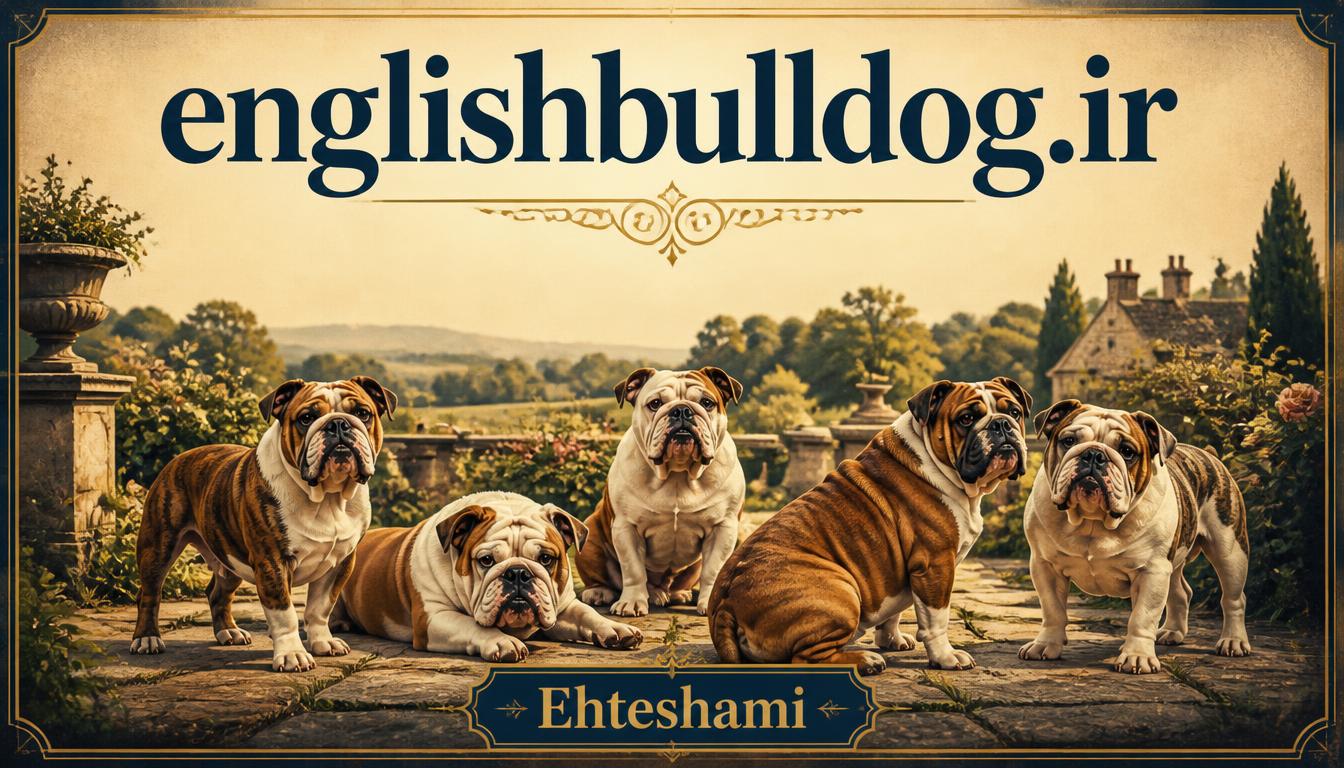 englishbulldog.ir