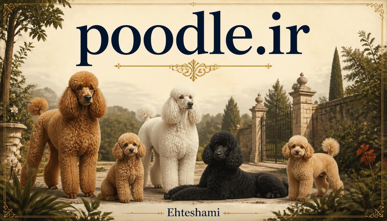 poodle.ir